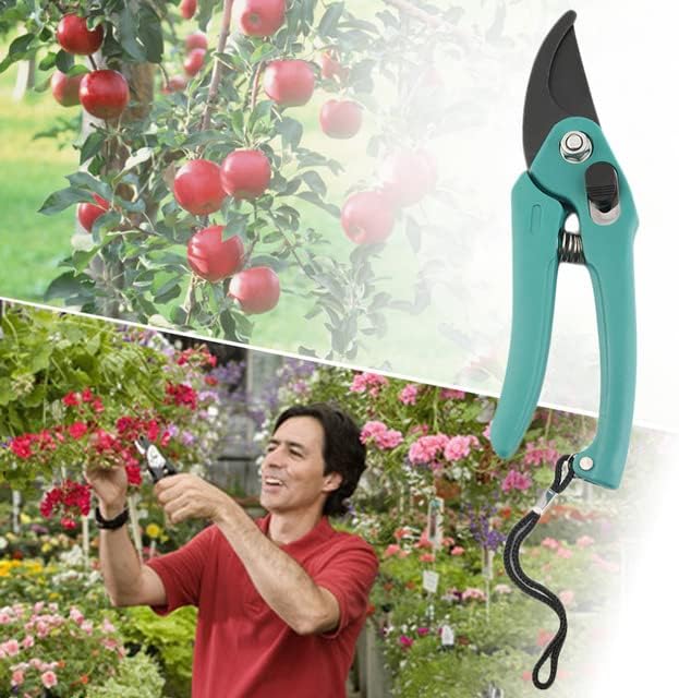 Kertészkedés, Metszés Nyírás Metszet Eszköz Pruner Olló Ág Vágó Zár Tavasz