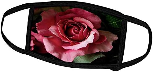 3dRose Szép Rózsaszín Virág Kibontakozó Rózsa - Arcod Kiterjed (fc_296459_2)