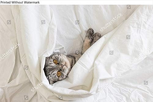 Plakát a Reprodukció a szürke skót lógófülű macska ül az ágyon a lepedőt. A kilátás fentről. A koncepció a háziállatok, kényelem,